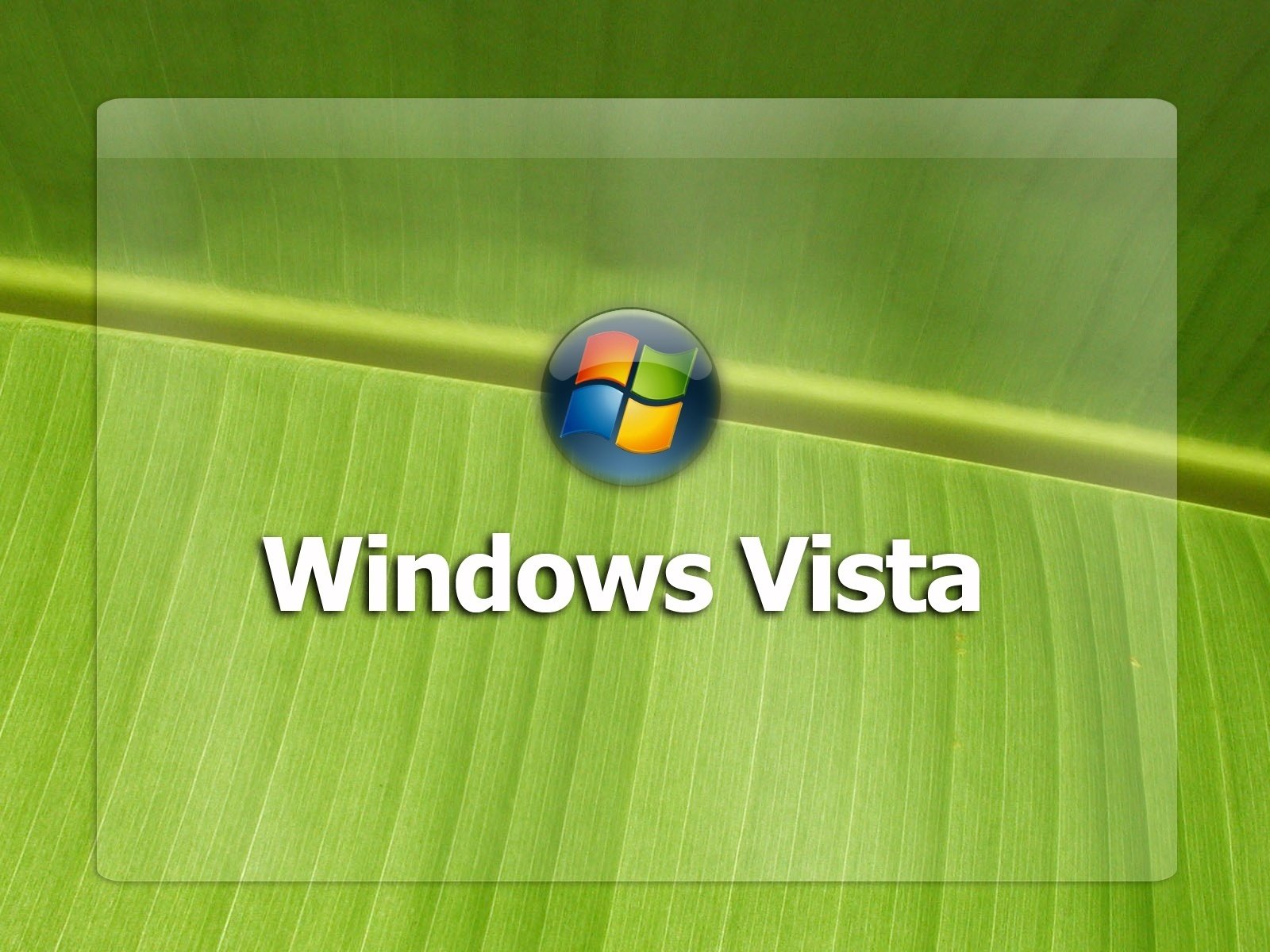 liścia odznaka windows emblematy loga
