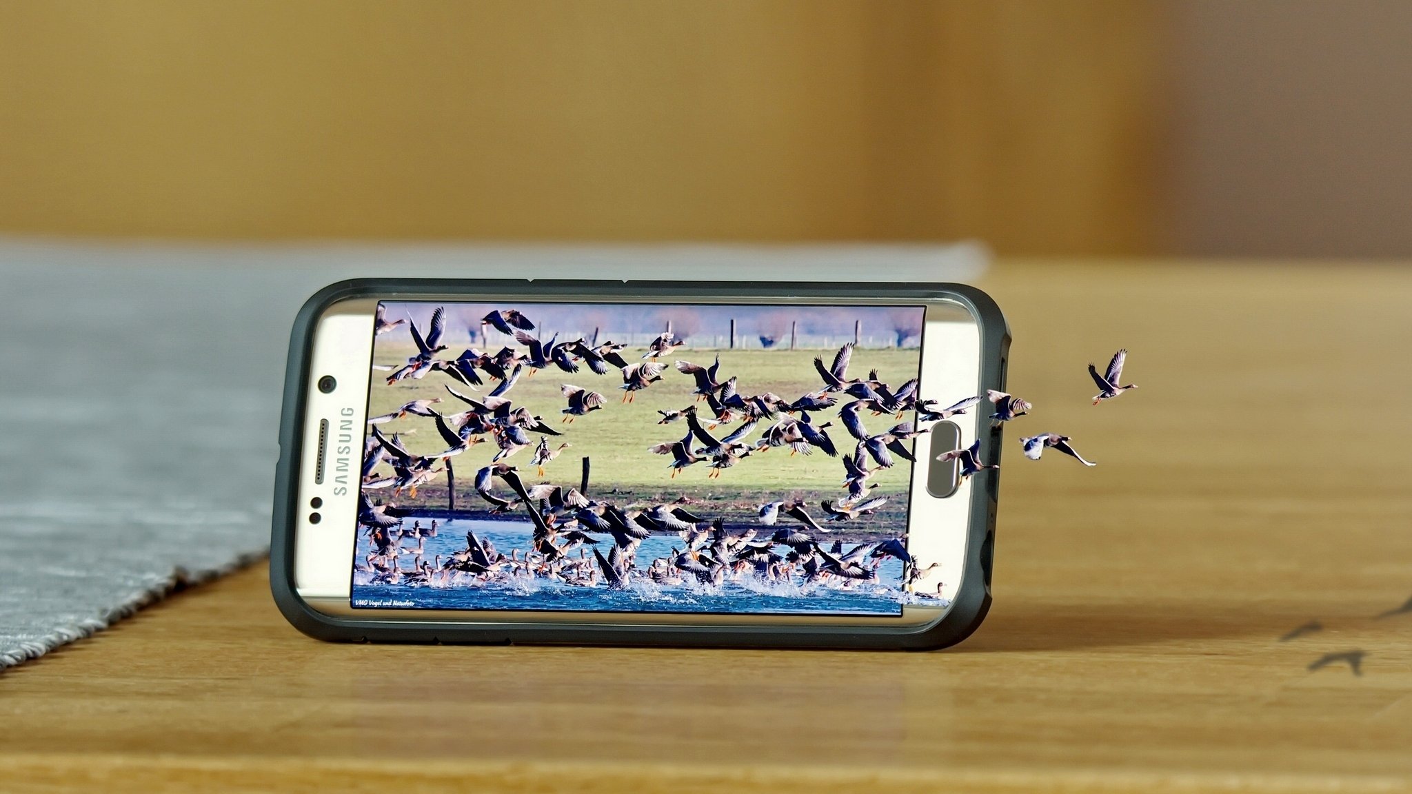 amsung galaxy s6 край samsung смартфон природа птицы