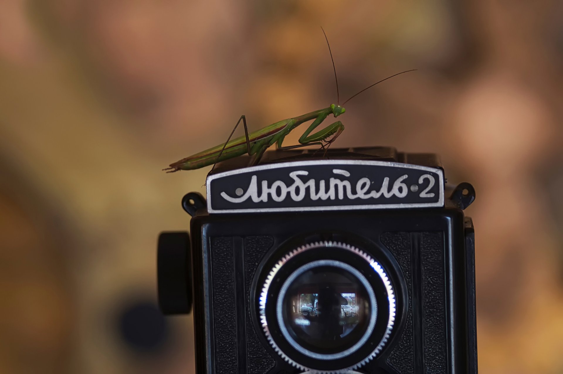 любитель фотоаппарат ретро