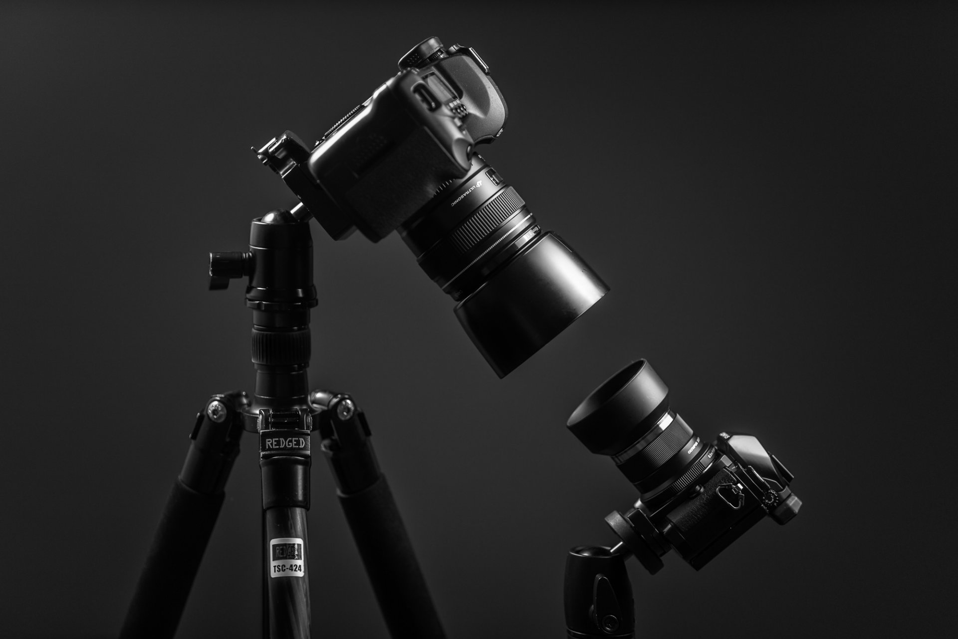 дэвид голиаф olympus om-d e-м10 canon eos 5d mk ii