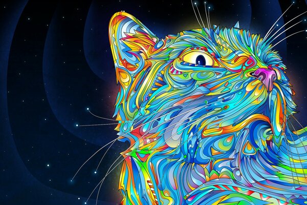 Космическая кошка в звездной ночи
