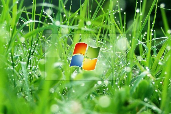 Логотип windows с травкой и росой