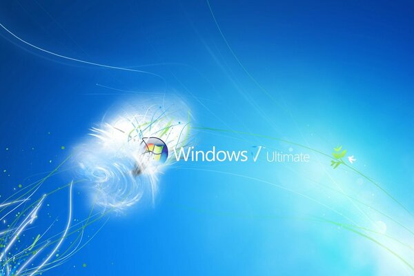 Логотип microsoft windows 7 на синем фоне с нарисованными веточками