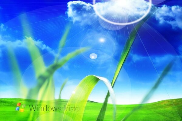 Логотип Windows Vista в поле