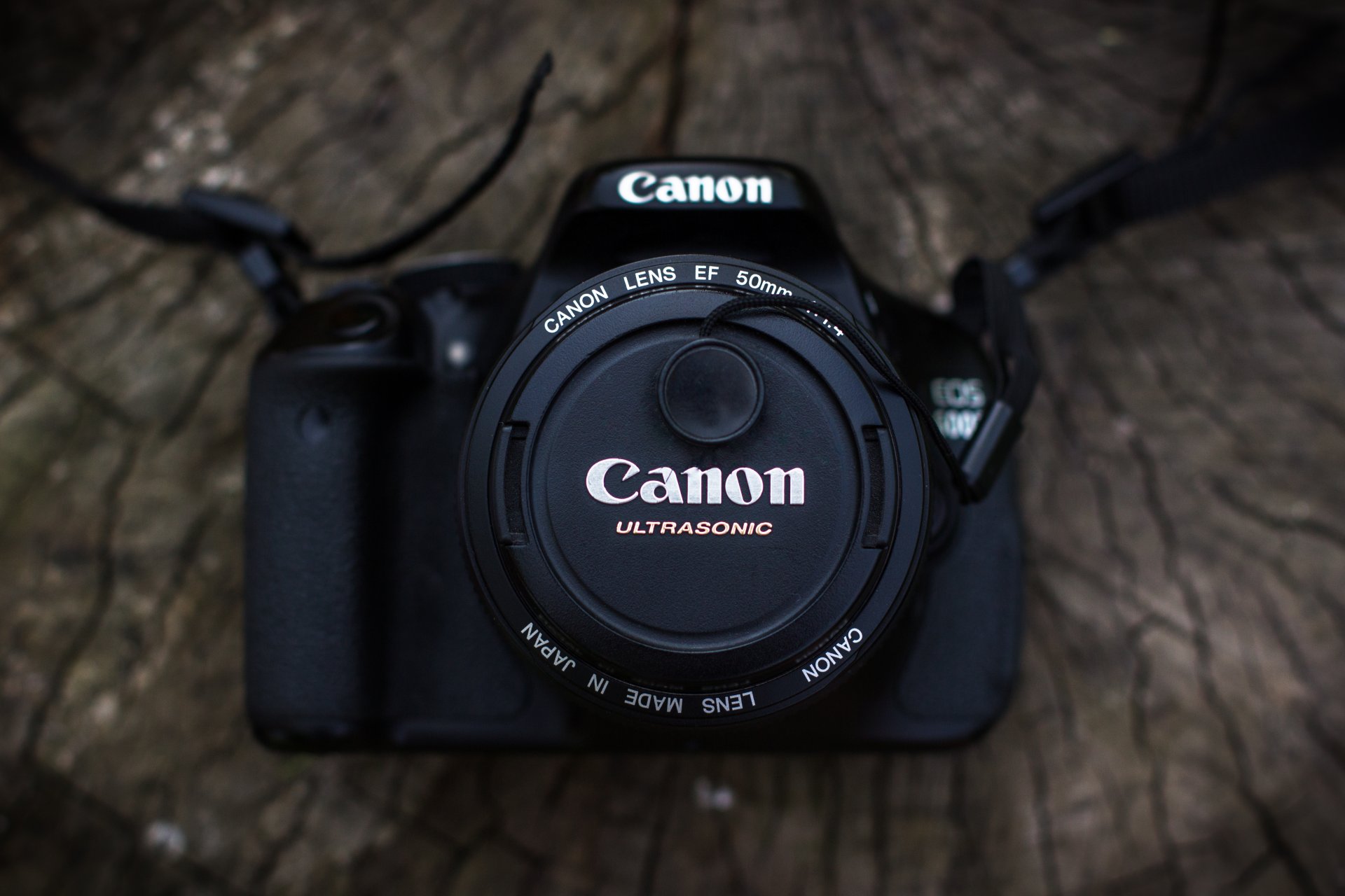 фотоаппарат canon дерево объектив