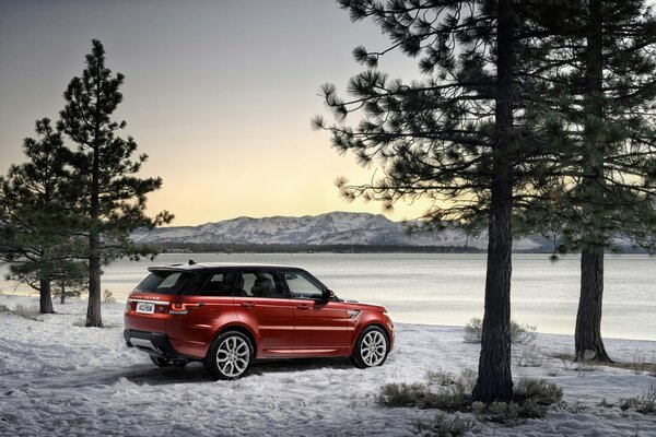 Czerwony Land Rover w zimowym lesie