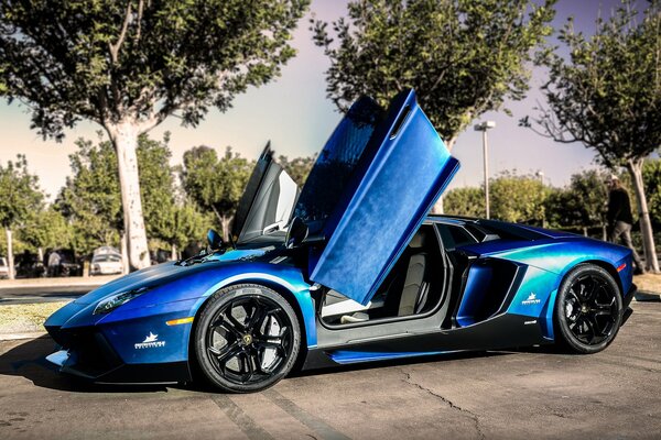 Niebieski Lamborghini w pobliżu drzew