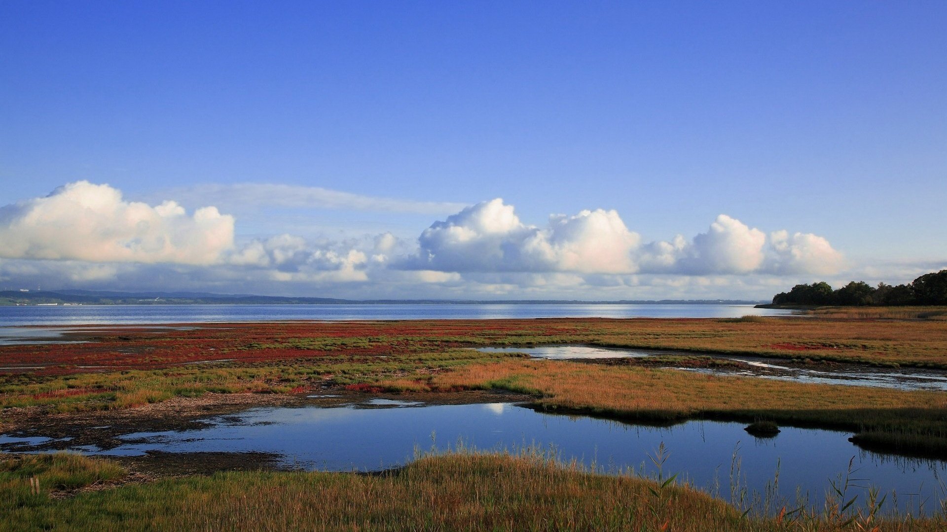 podziały ziemi błękitna woda trawa niebo woda horyzont chmury bagno krajobraz natura lato