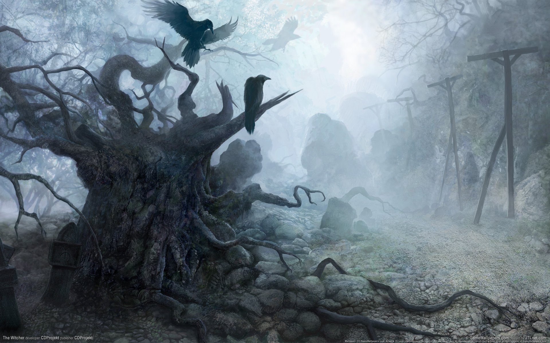 камни вороны мрак рисунок the witcher туман