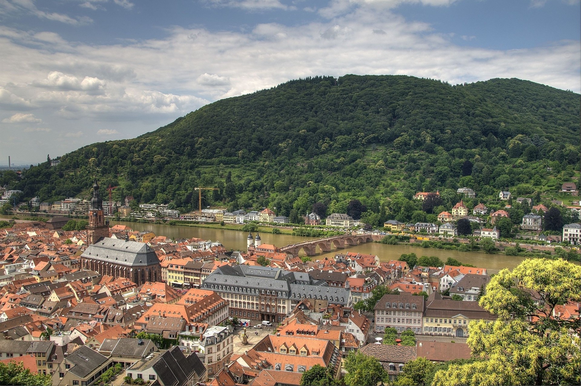 katedra krajobraz rzeka heidelberg most las panorama budynek niemcy drzewa