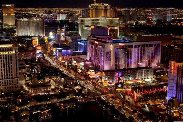Las Vegas z flamingiem Nevada