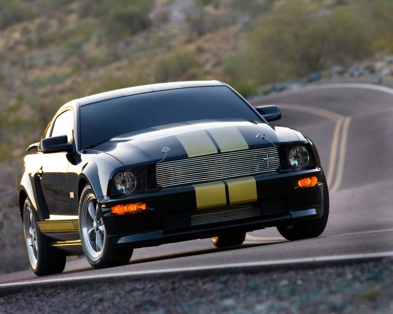 auto mustang droga