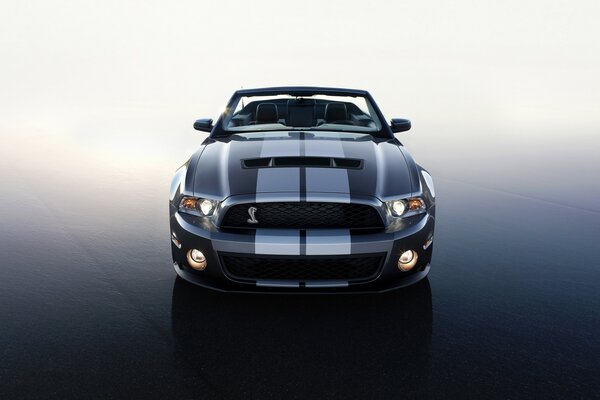 Tylko Ford Shelby dt 500 i nic więcej