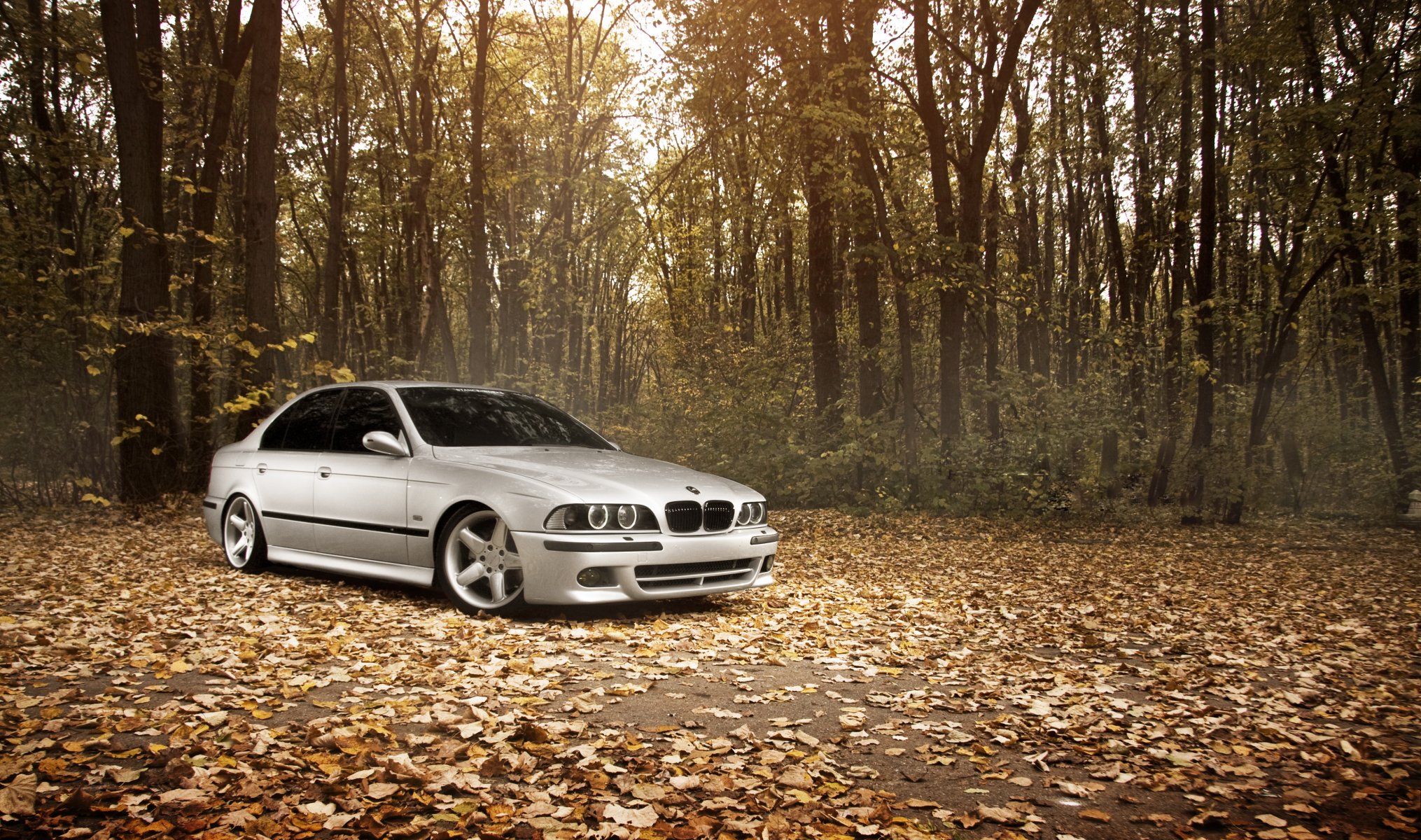 bmw m5 e39 позиция работает осень листья лес бмв