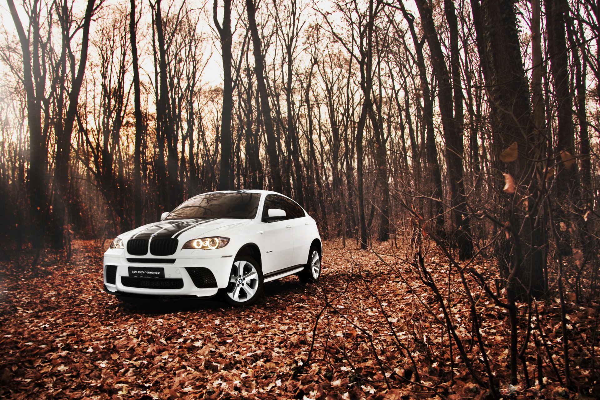 bmw x6 e72 тюнинг белый внедорожник бмв осень лес листья