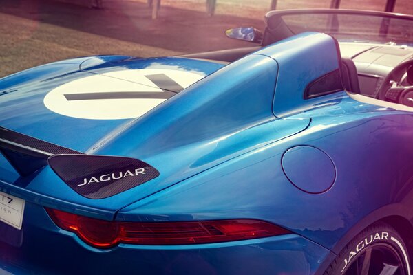 Niebieski Jaguar bez dachu projekt 7