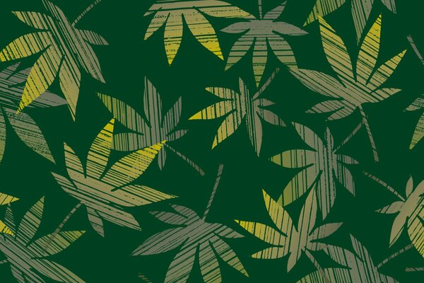 Тематические зелёные обои. Листья, конопля, мягкий цвет