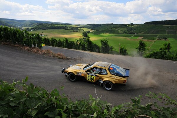 Rally на зелёной природе