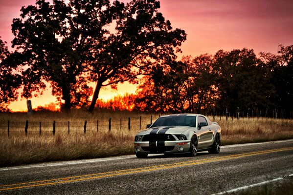 Srebrny Ford Mustang jedzie drogą na tle zachodu Słońca