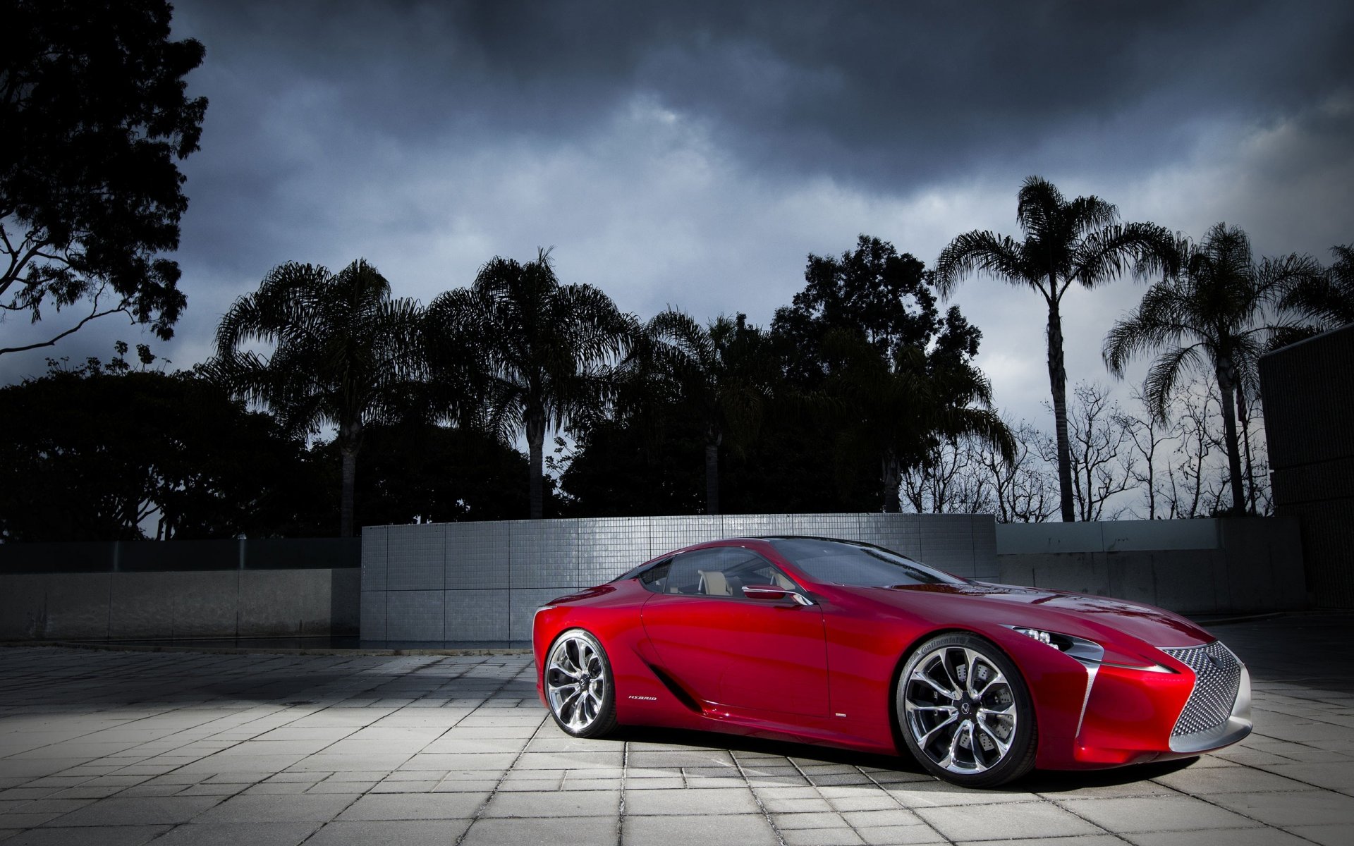 lexus вечер пальмы свет
