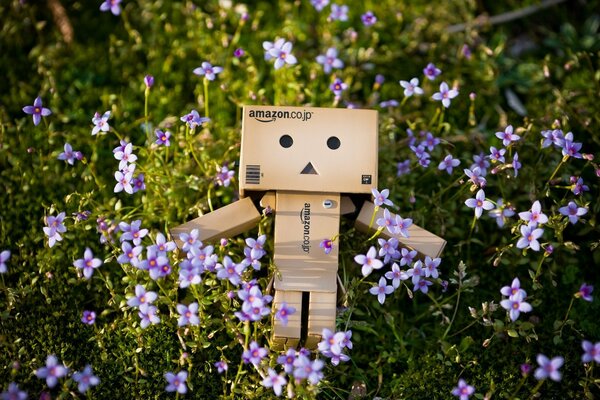 Robot Box na łące