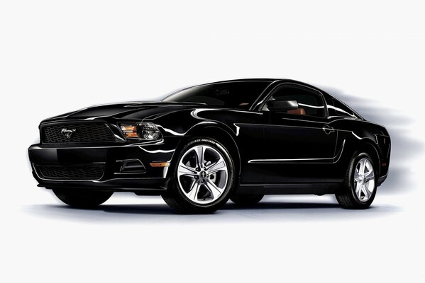 Czarny Mustang na białym tle