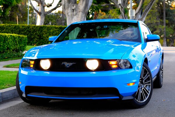 Ford Mustang niebieski gt 2010