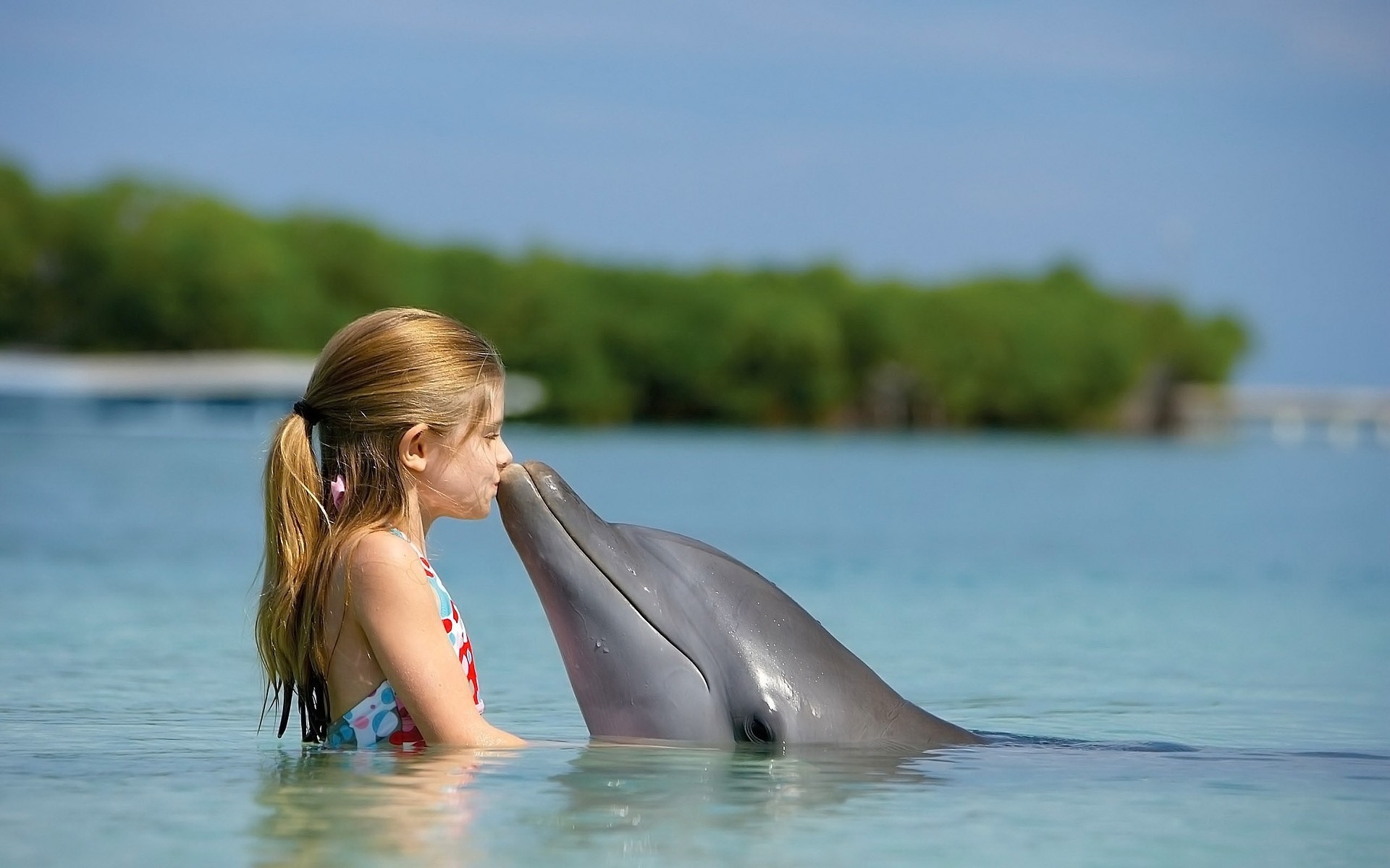 дельфин море океан поцеловать девушка