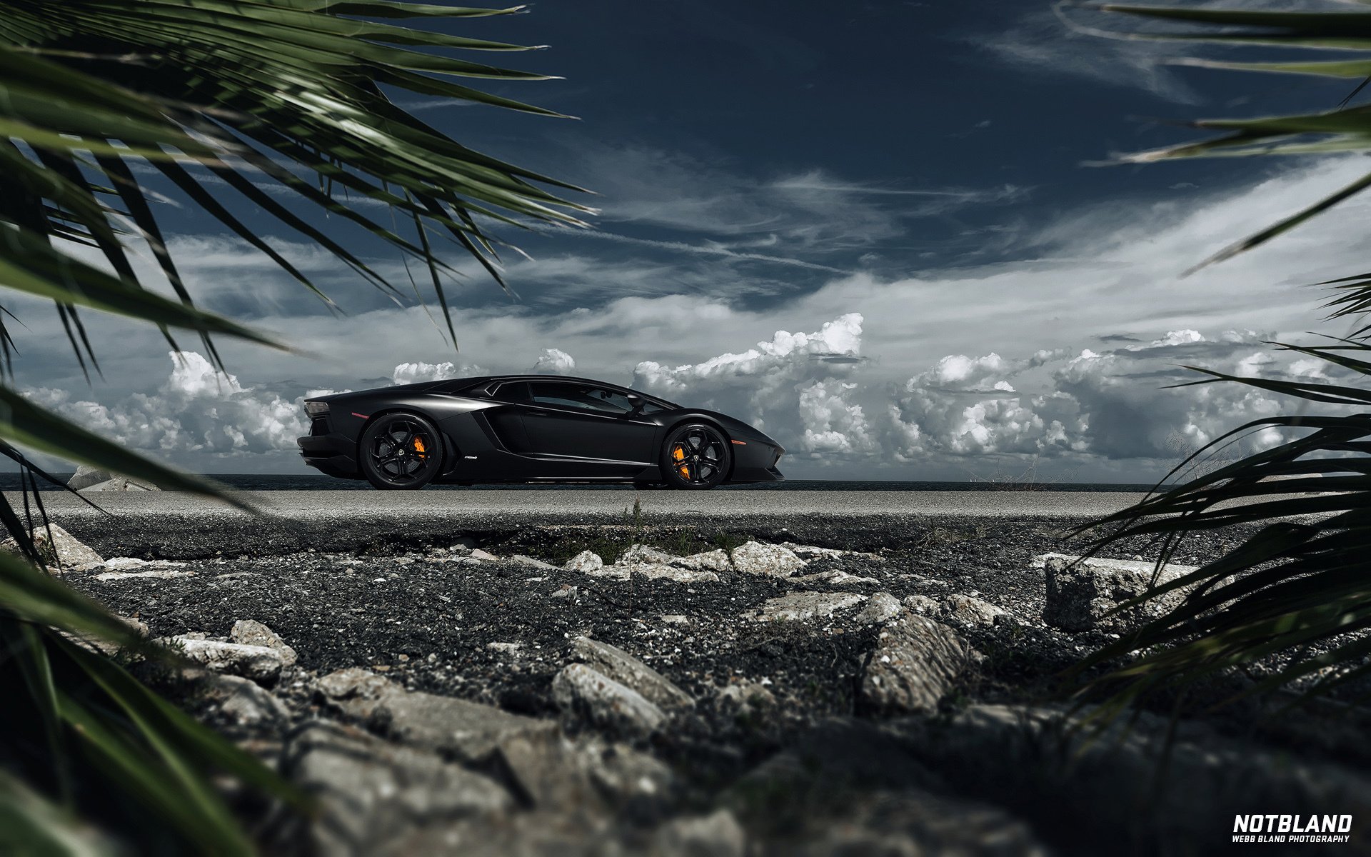 lamborghini aventador машина авто листья небо облака уэбб блэнд notbland