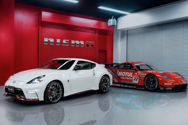 Nissan Auto Samochód biały szary
