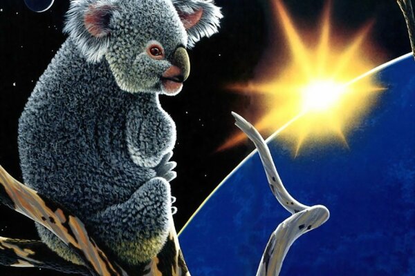 Koala siedzi na gałęzi i patrzy w słońce