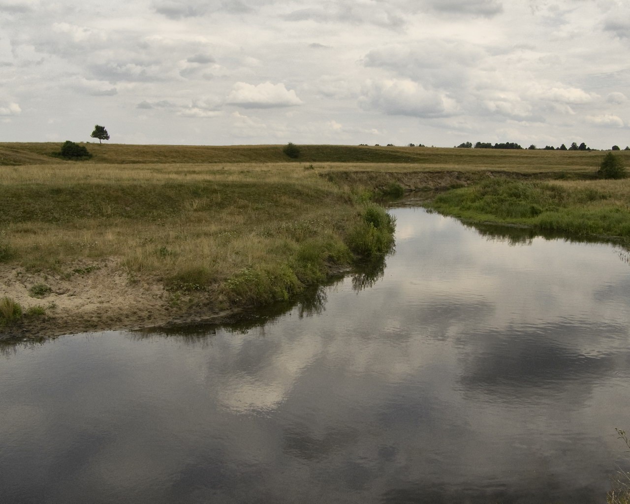 lato natura rzeka