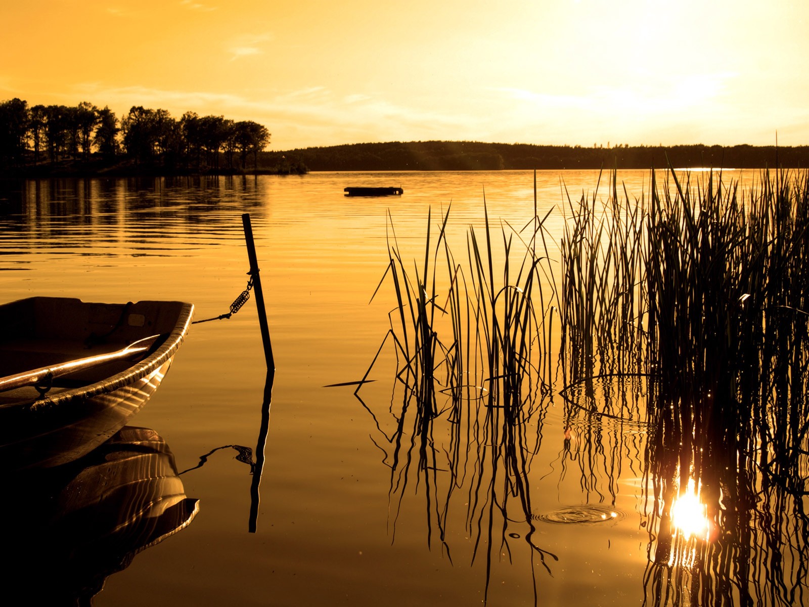 łódź jezioro las zachód słońca sepia