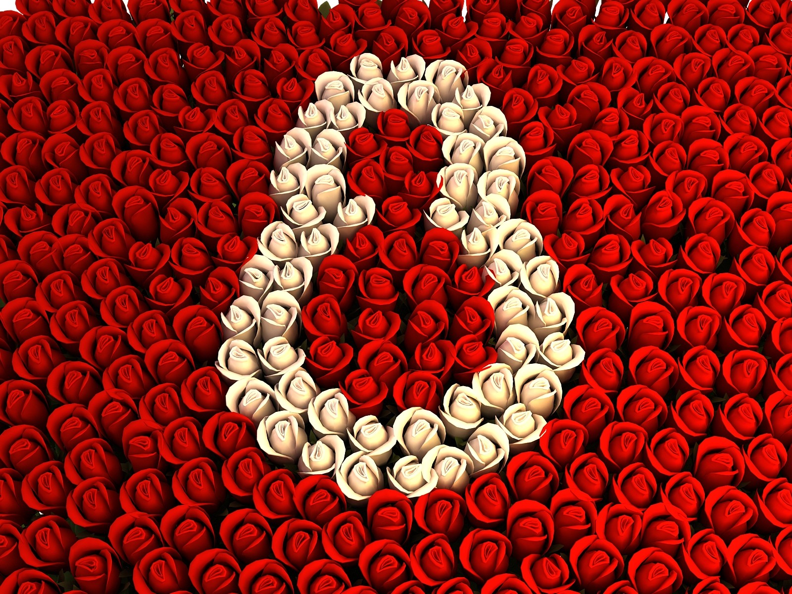 8 marca kwiaty róże czerwone tło
