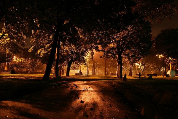 Ciemny Park nocą przy świetle latarni