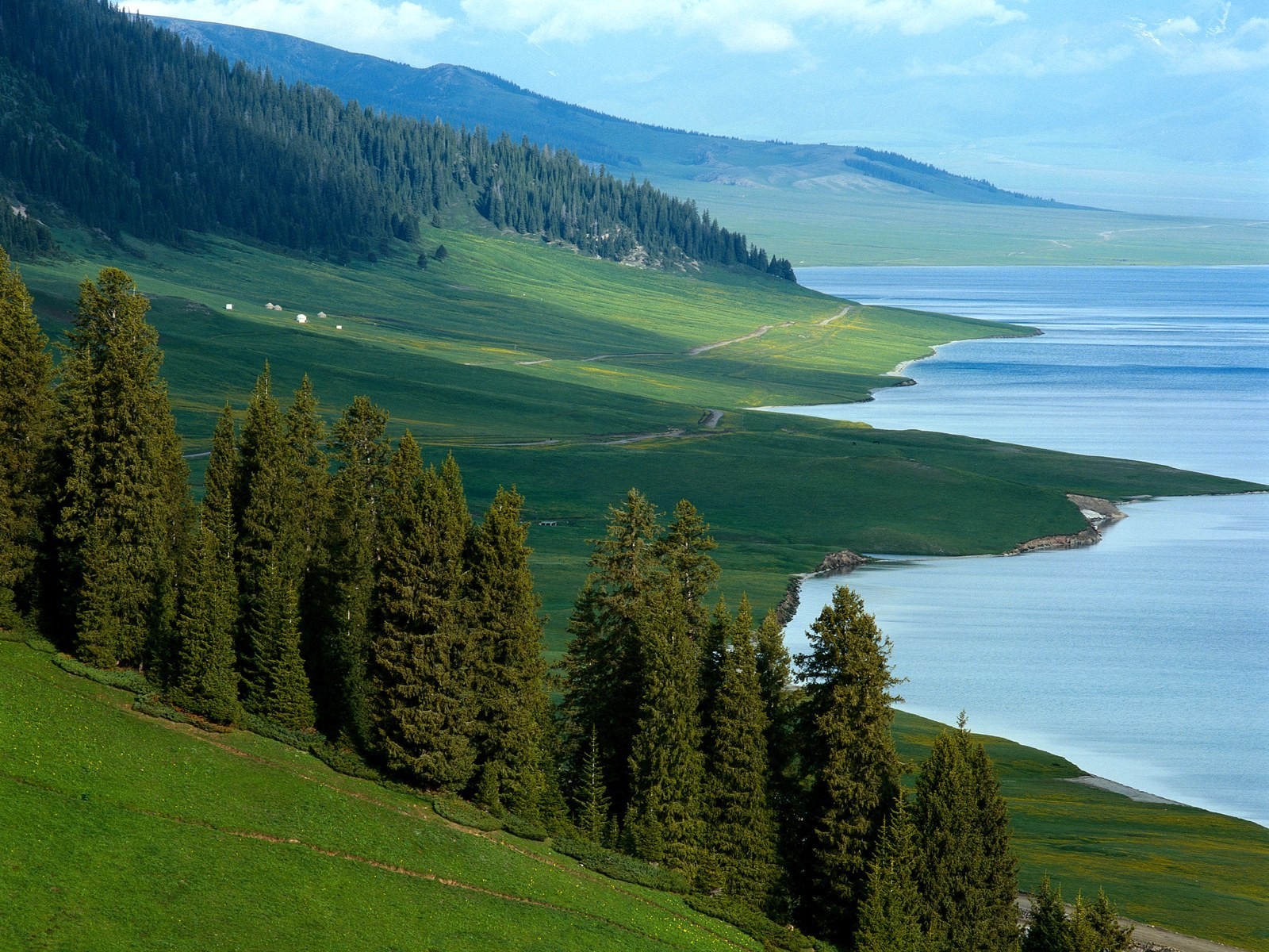 natura brzeg lato bajkał
