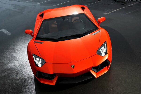 Samochód sportowy Aventador LP700-4