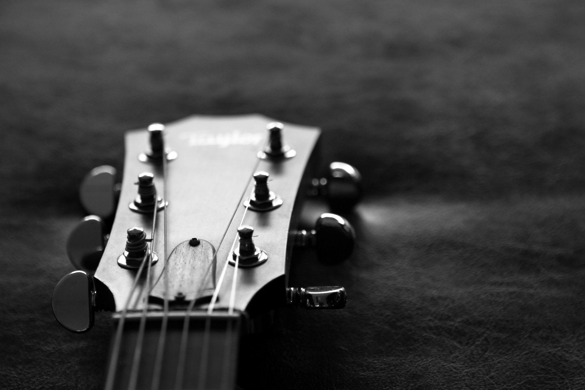 гитара белое обои гриф черное