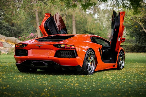 Pomarańczowe Lamborghini dla prawdziwych smakoszy