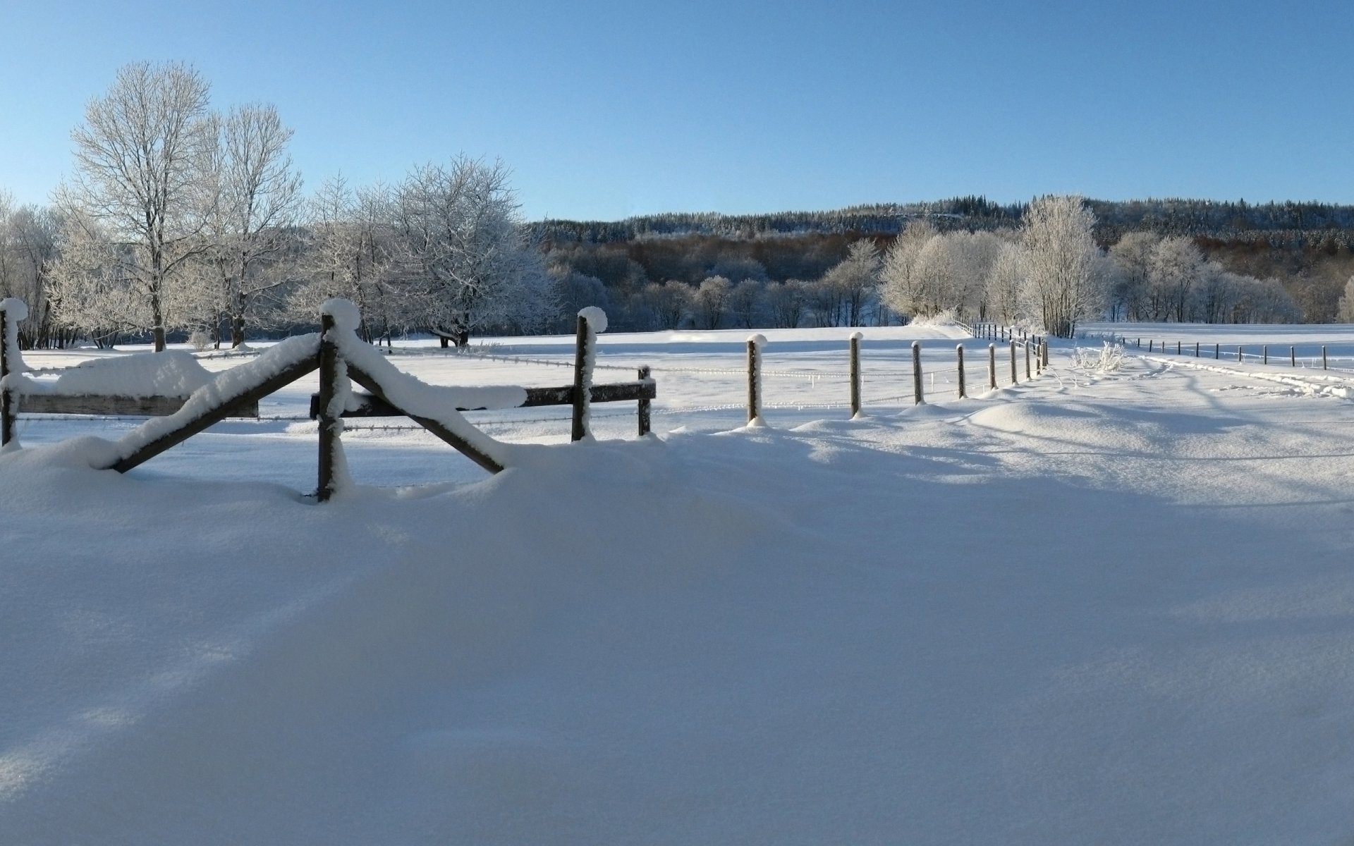 grudzień zima śnieg