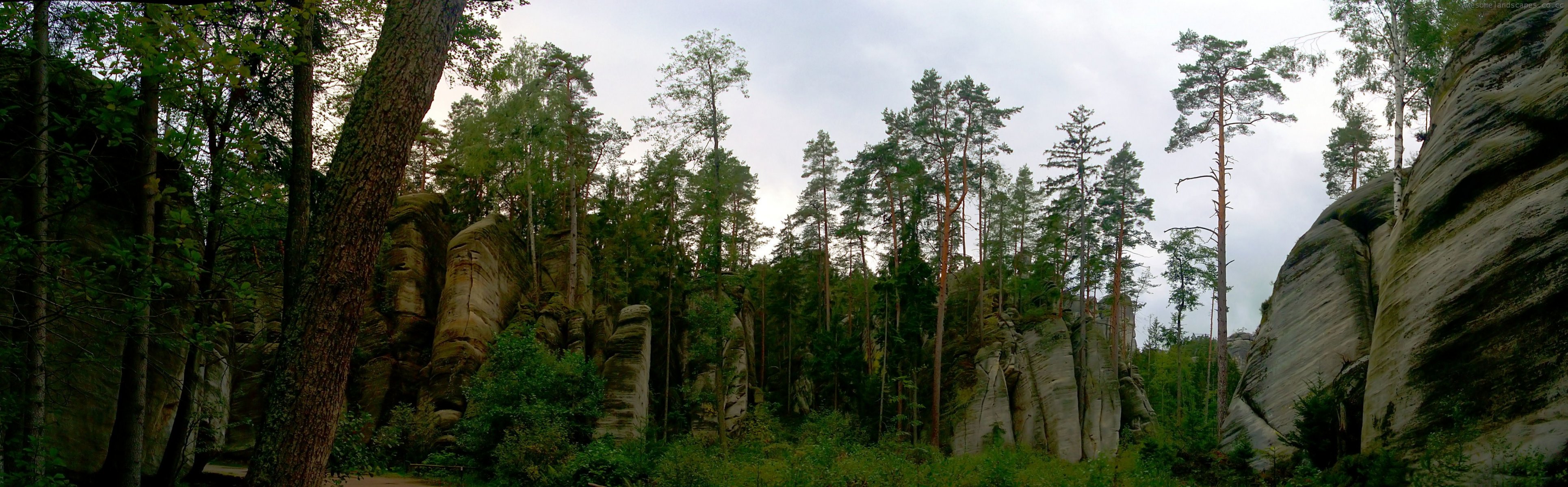 лес деревья скалы камни кусты небо зелень