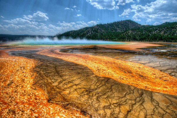 Stany Zjednoczone, para Yellowstone, piękny widok, las i góry