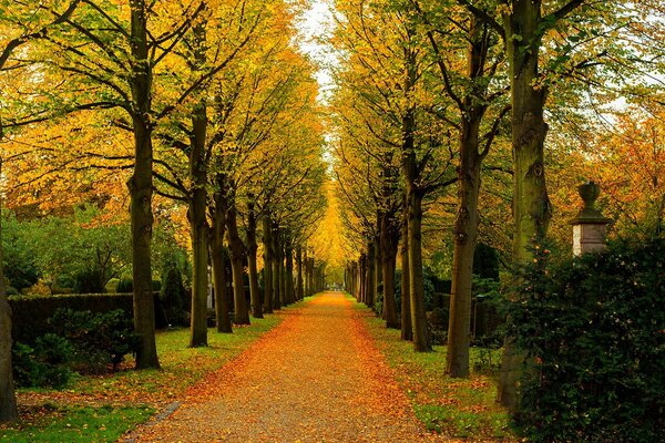 Jesienny park przyciąga ludzi na spacer