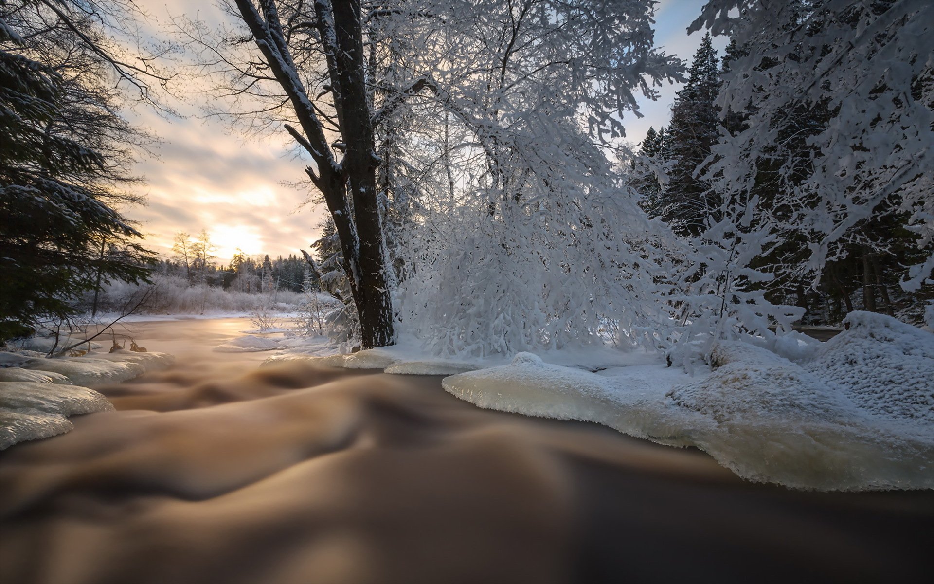 весна лес природа