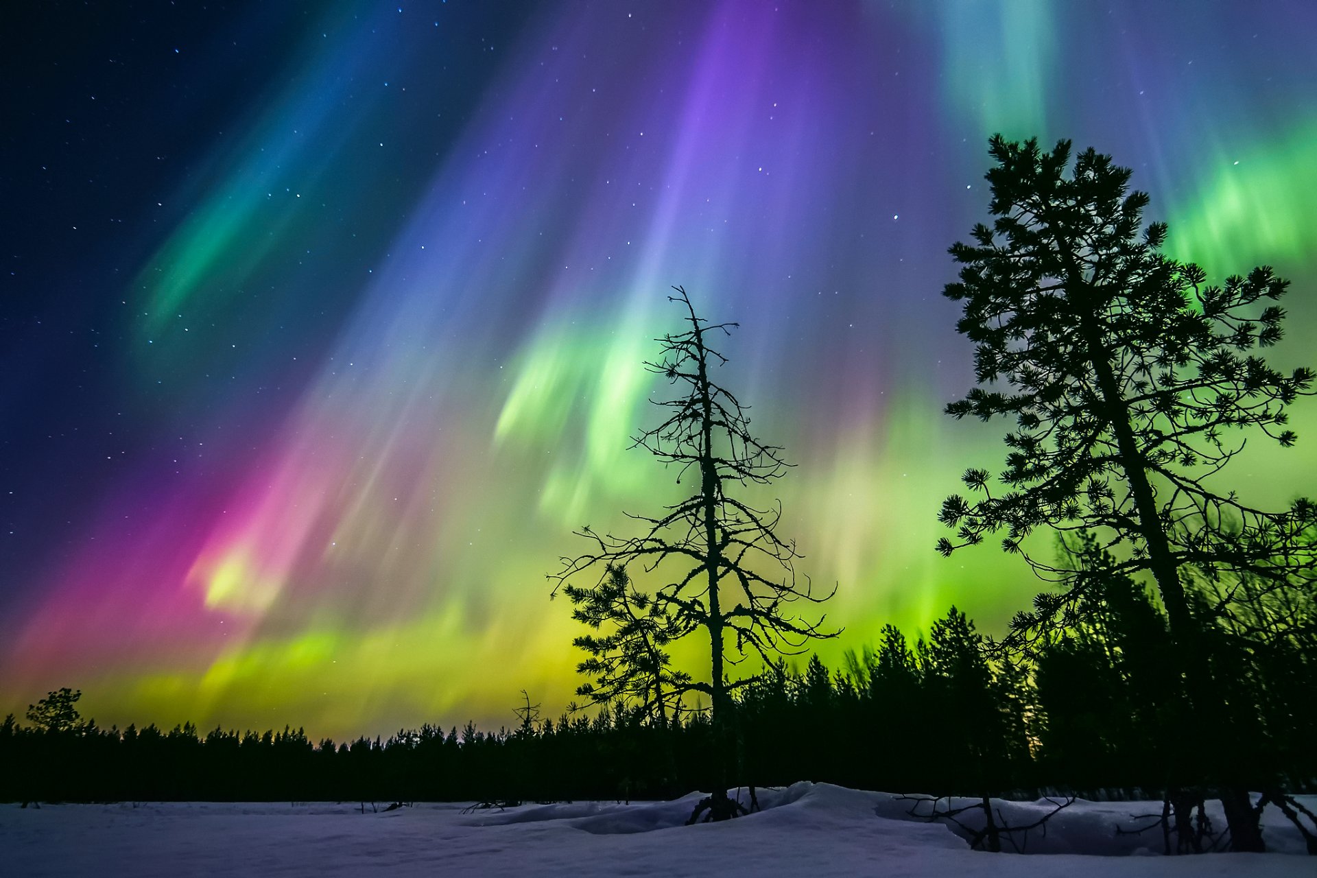 finlandia zima noc niebo gwiazdy zorza polarna śnieg las drzewa sylwetki