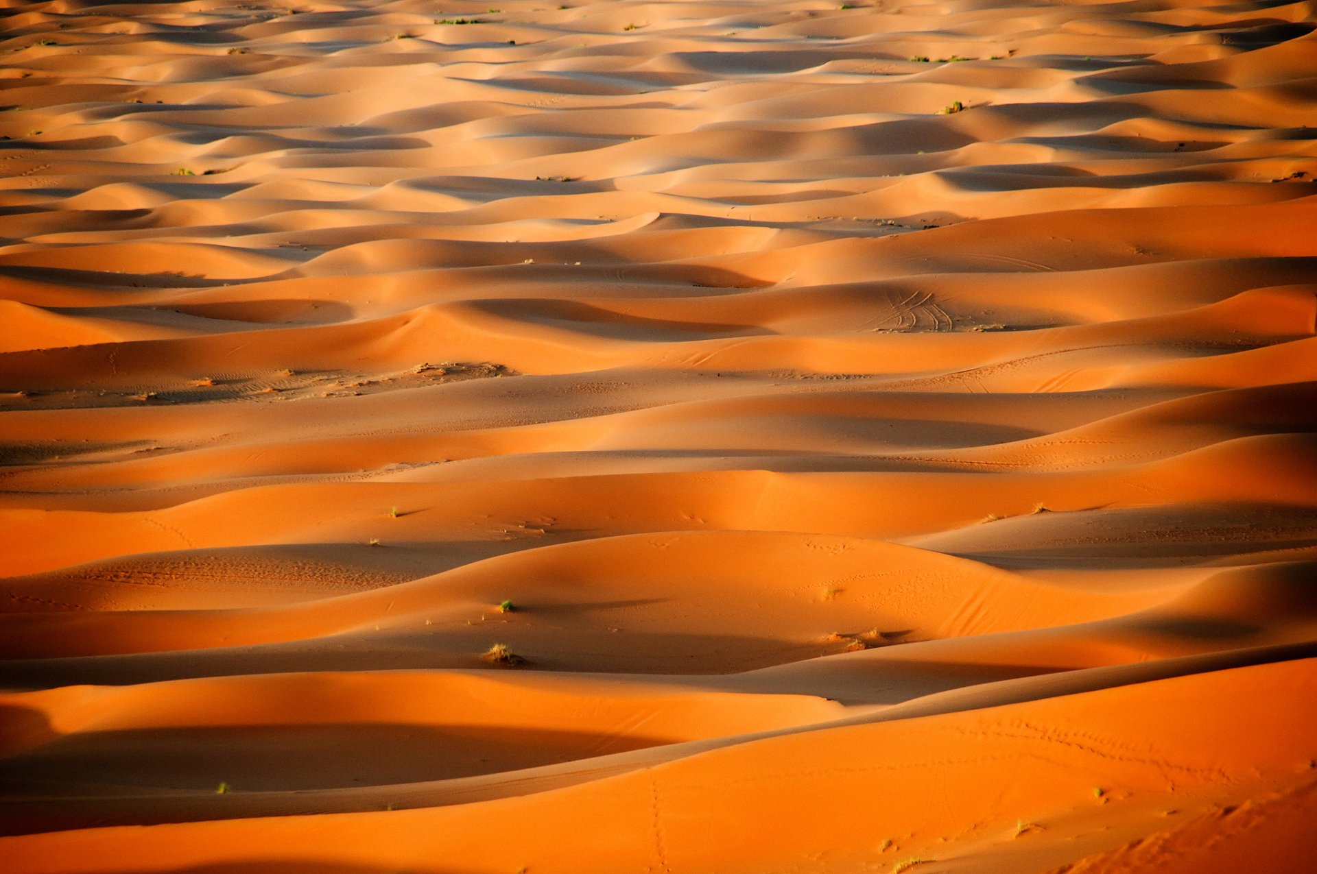 afryka maroko pustynia sahara wydmy