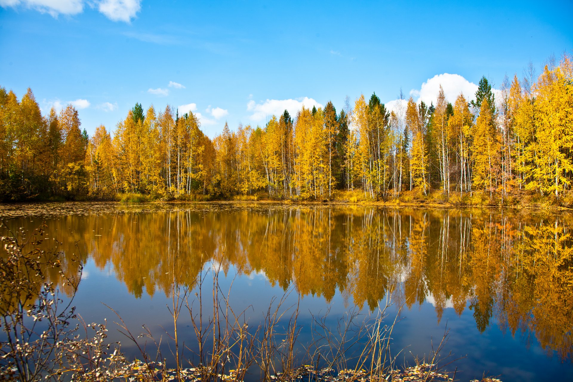 природа осень лес небо озеро