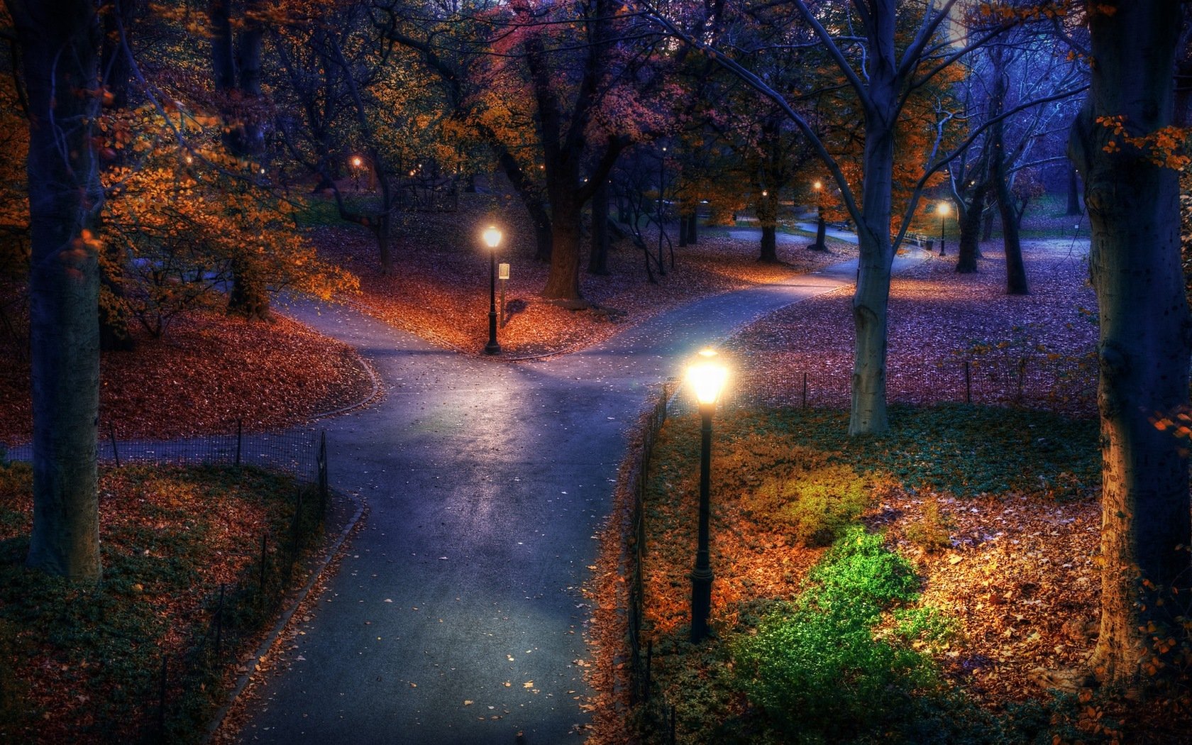 noc park drogi