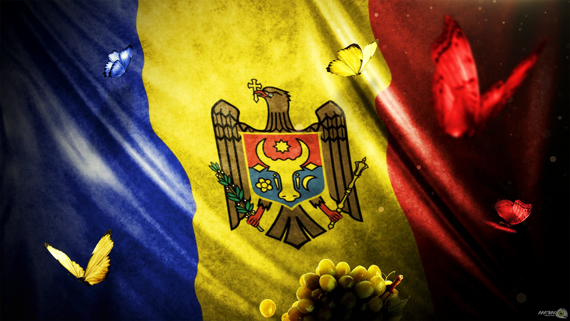 молдова md марин мокану дизайн флаг красные синий желтый