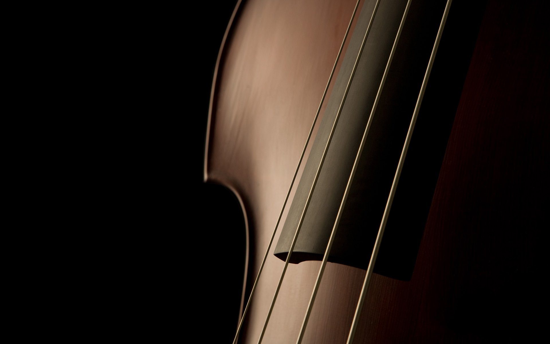 instrumenty muzyczne makro muzyka zdjęcia makro
